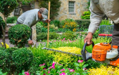 Les paysagistes ont des rôles concernant le jardin et l’espace vert. Ce sont des sortes d’architectes pour une aire de jeux, par exemple. Ils sont de ce fait des spécialistes dans l’aménagement de jardin ou d’un terrain vert.